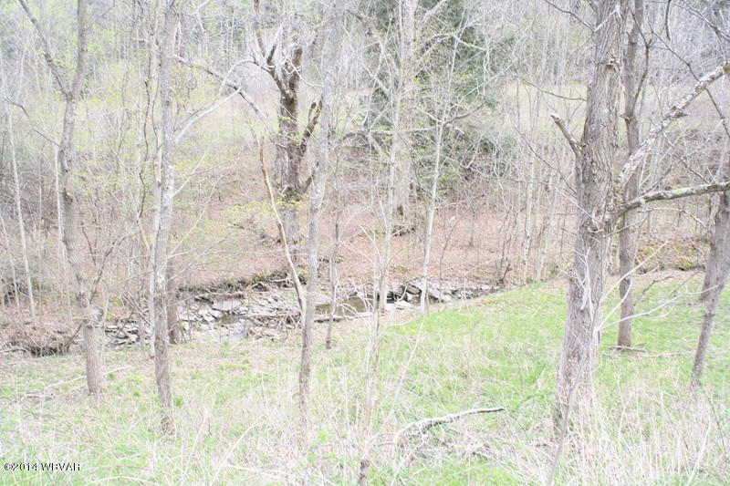 0 Forest Road Ulster, PA 18850 - Photo 8 of 13 125425-08