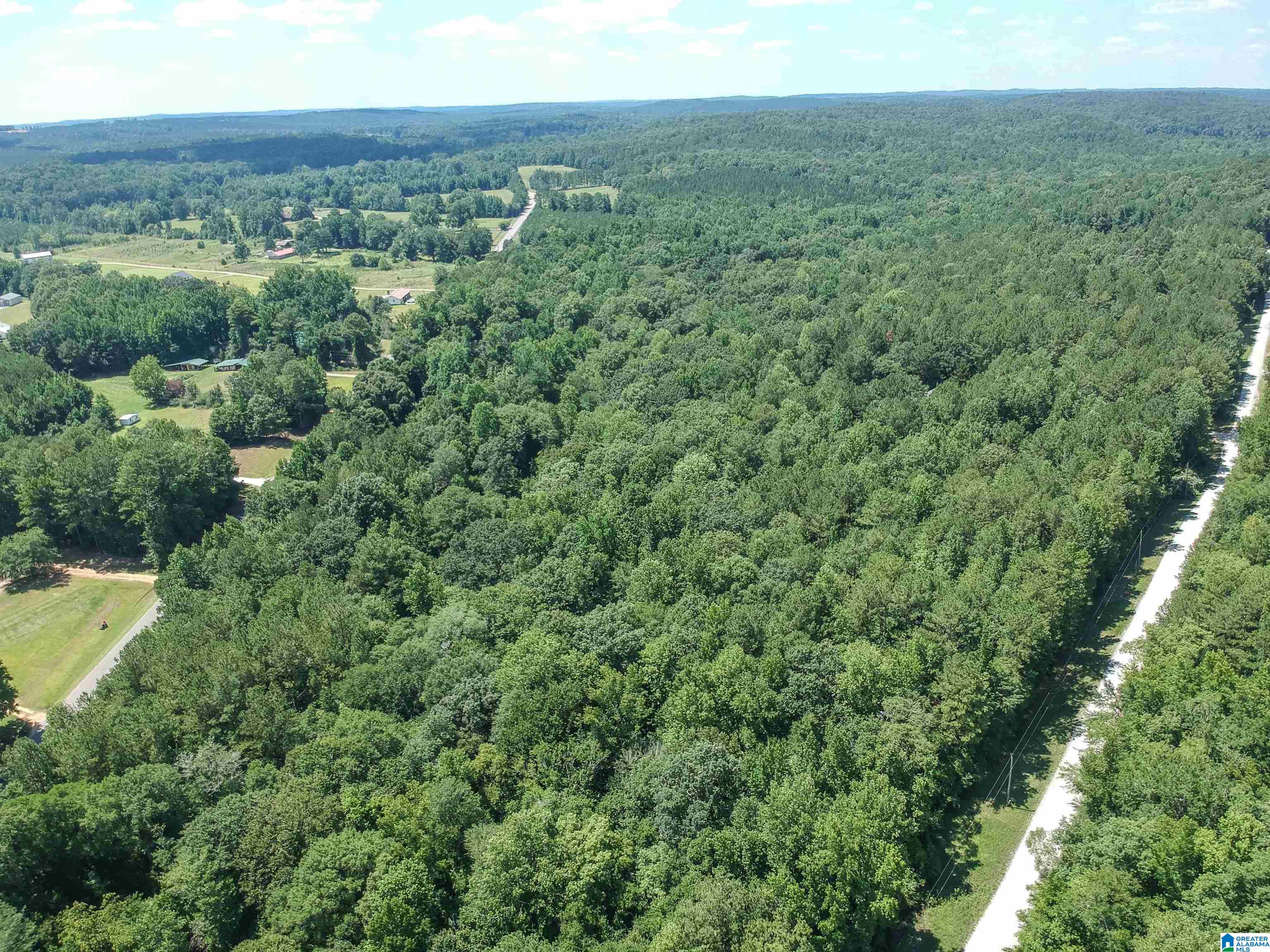 0 Upper Columbus Road Coker, AL 35452 - Photo 8 of 15