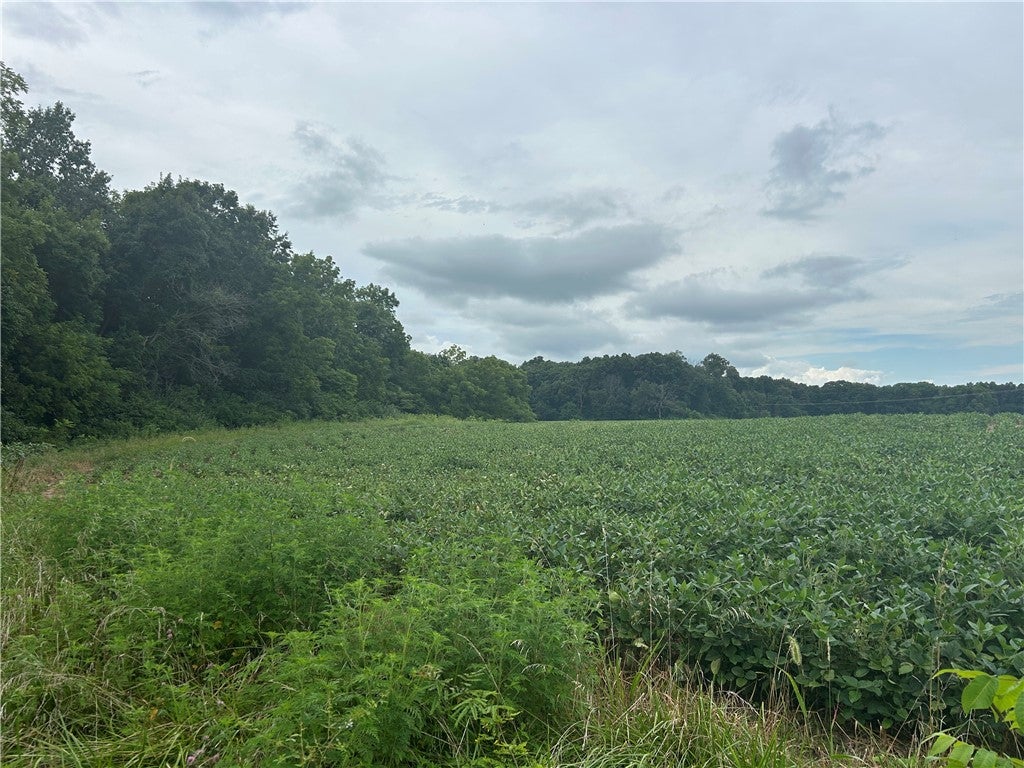 700 East North Road Strasburg, IL 62465 - Photo 10 of 23 Gallery Image 10