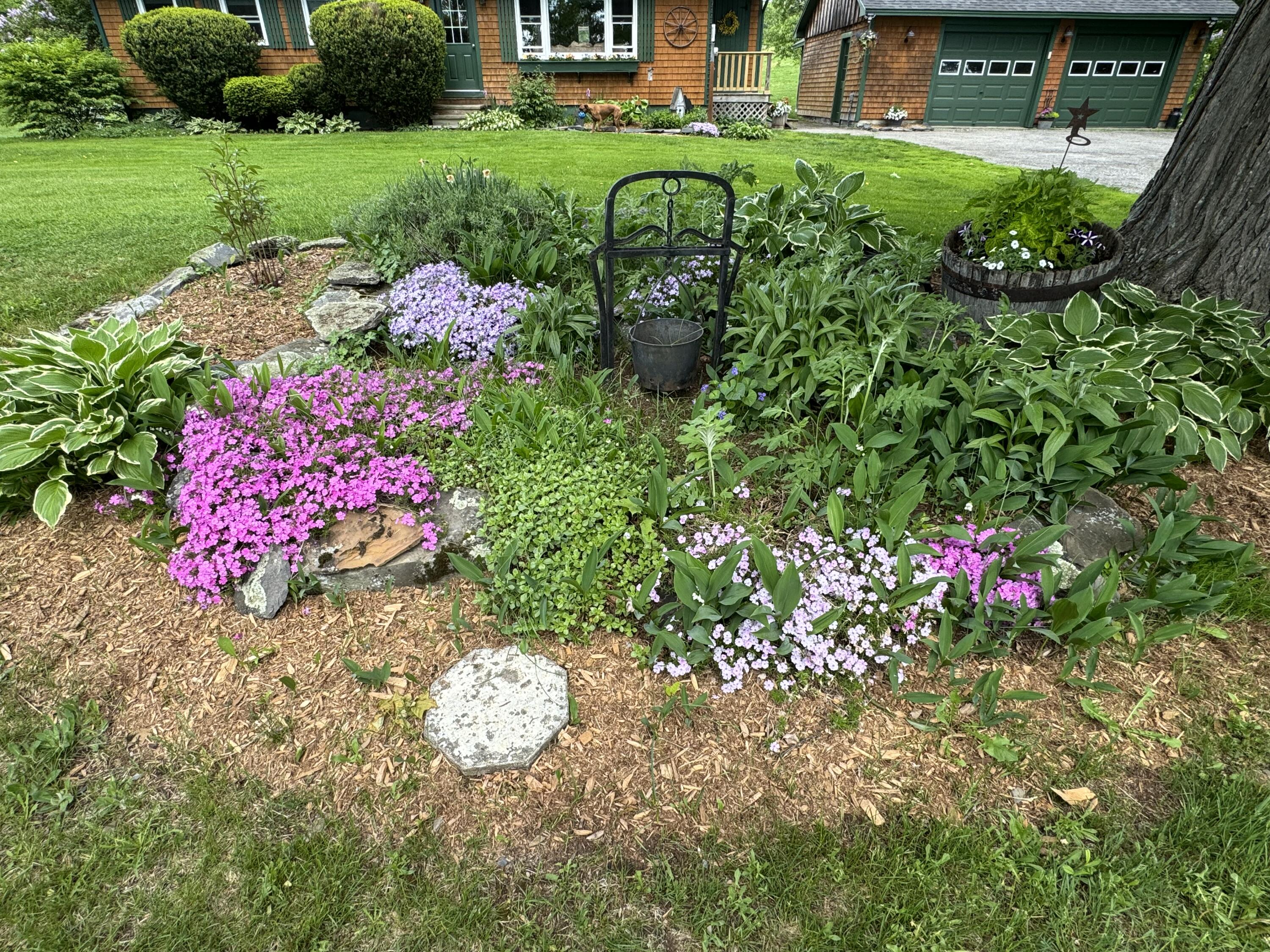 32 Wharff Road Guilford, ME 04443 - Photo 105 of 105 IMG_2962