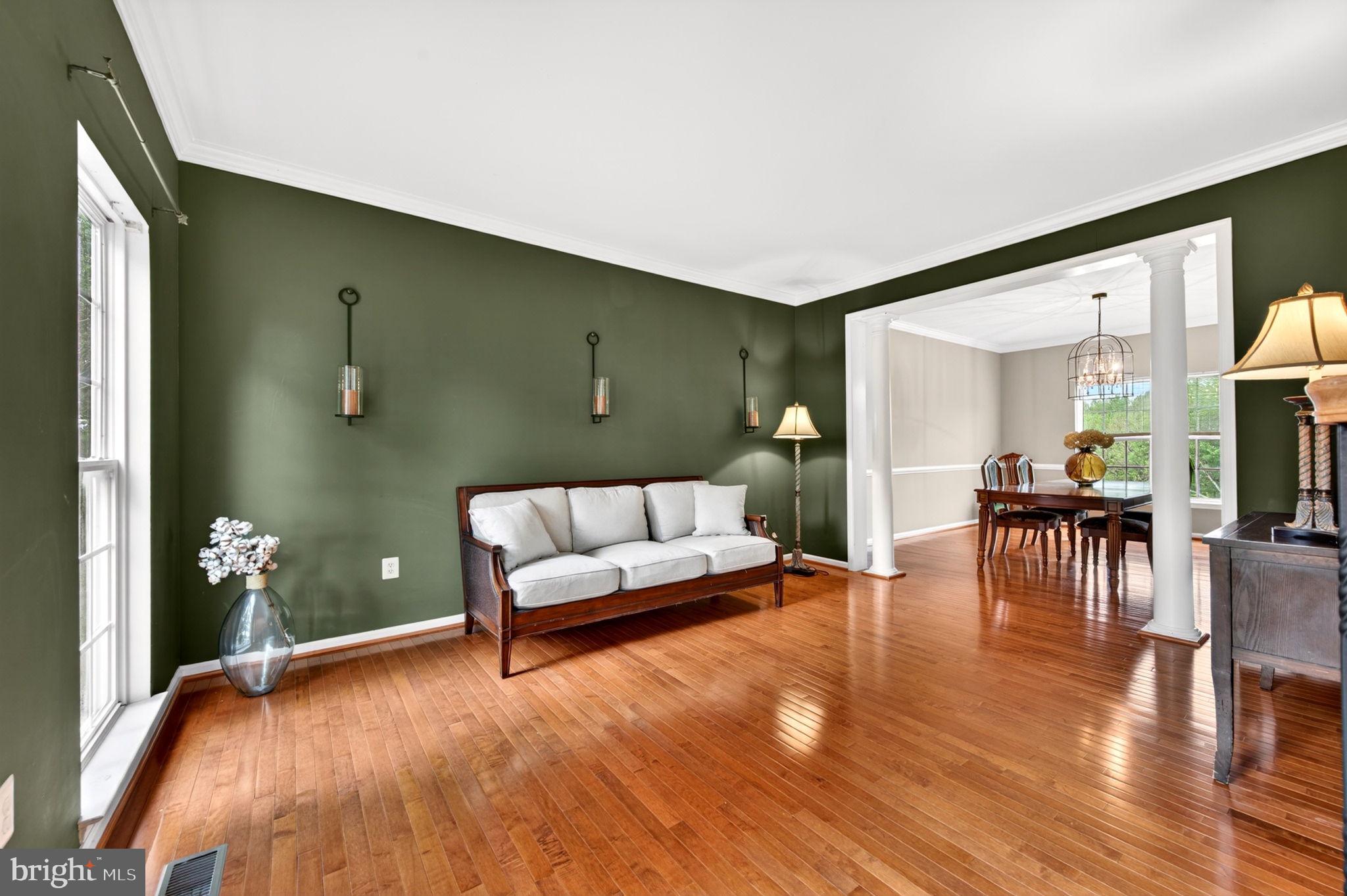 8 North Pointe Terrace Middletown, MD 21769 - Photo 19 of 74 a living room with furniture and wooden floor