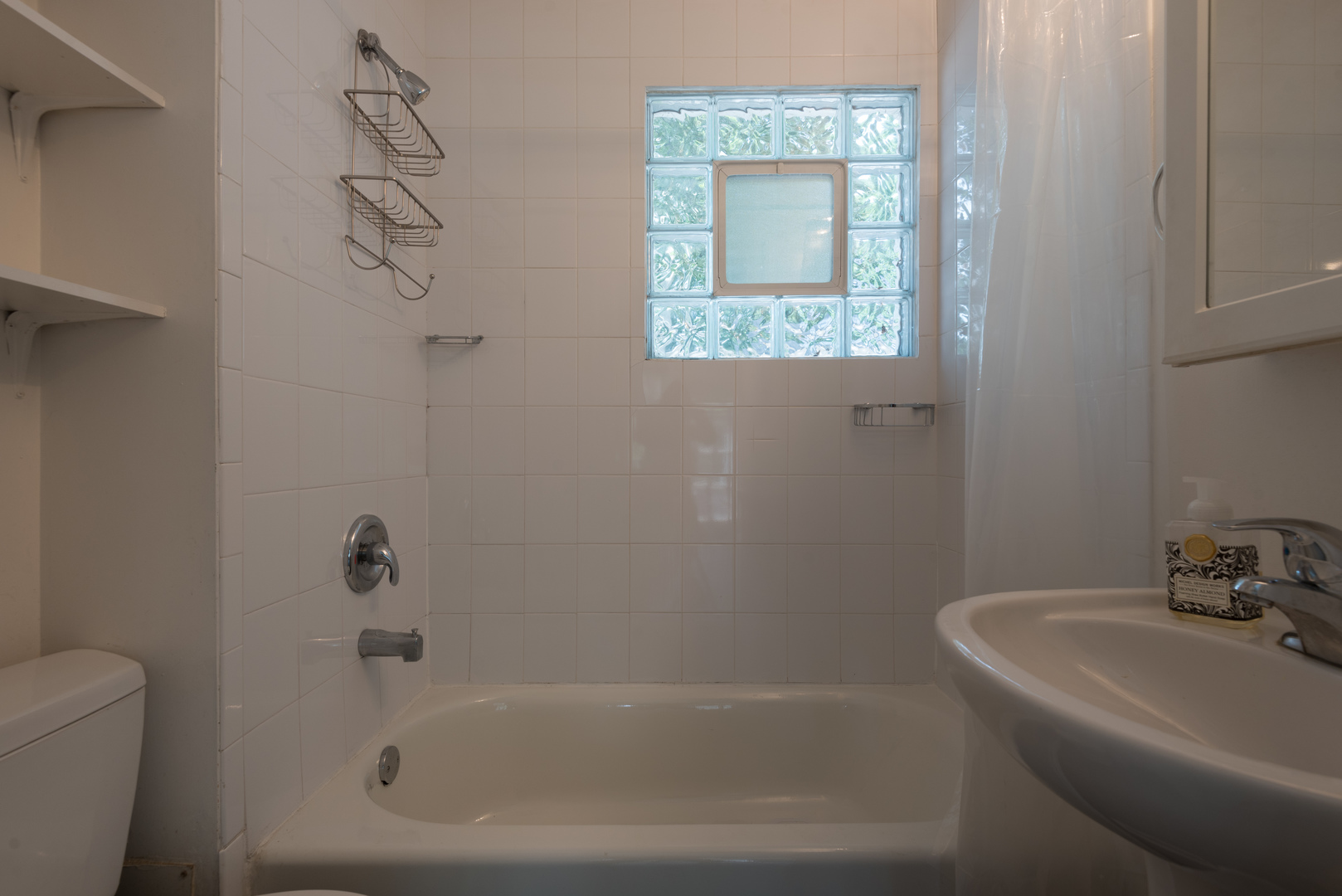 2109 Colfax Street Evanston, IL 60201 - Photo 5 of 12 a bath tub sitting next to a white sink and a toilet