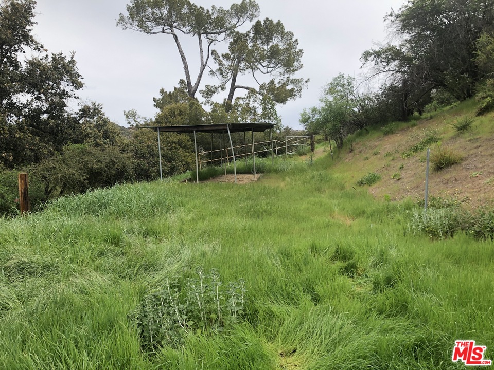 20526 Callon Drive Topanga, CA 90290 - Photo 13 of 30 a view of backyard with green space