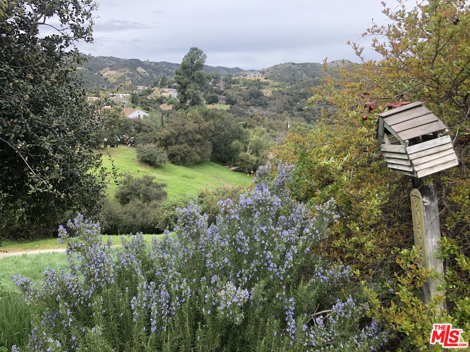 20526 Callon Drive Topanga, CA 90290 - Photo 19 of 30 a view of a lush green forest with large trees