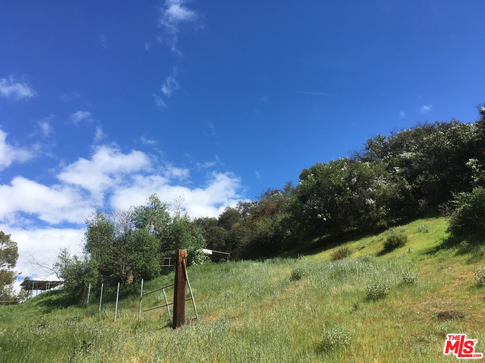 20526 Callon Drive Topanga, CA 90290 - Photo 3 of 30 a view of a pathway with a lush green forest