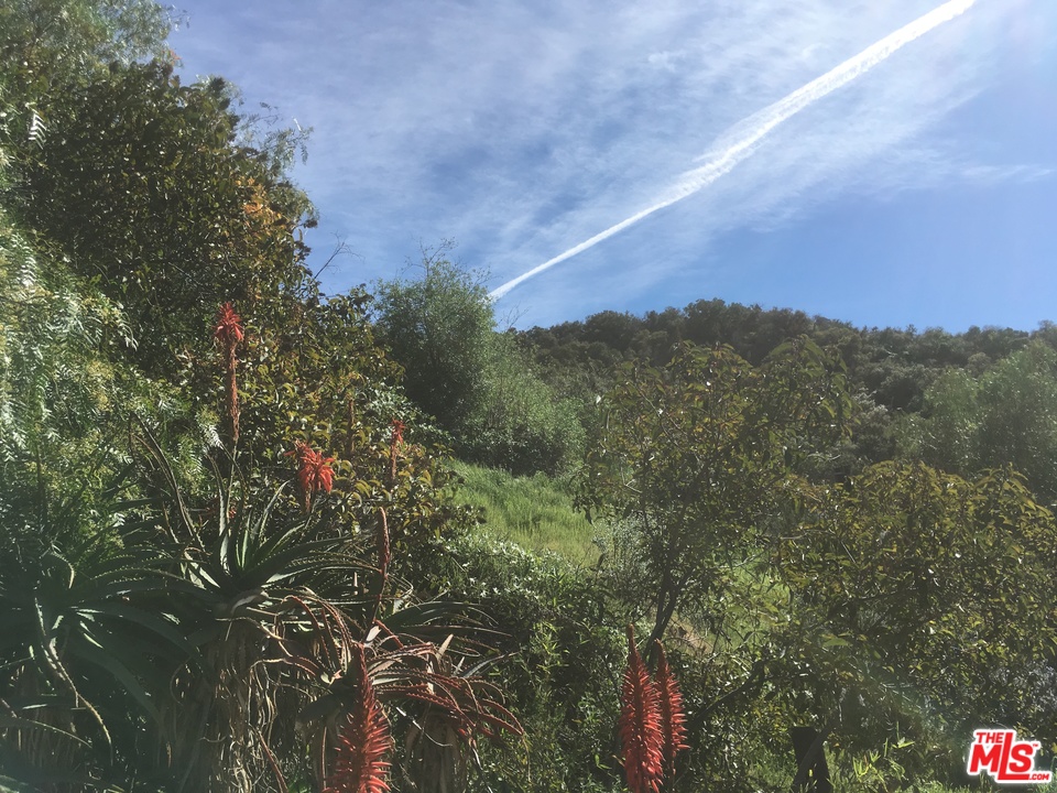 20526 Callon Drive Topanga, CA 90290 - Photo 5 of 30 a view of a field with a tree in the background