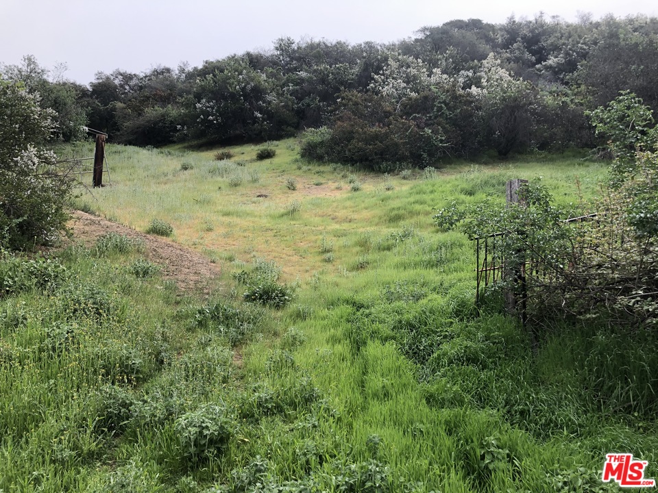 20526 Callon Drive Topanga, CA 90290 - Photo 8 of 30 a view of a bunch of trees and bushes