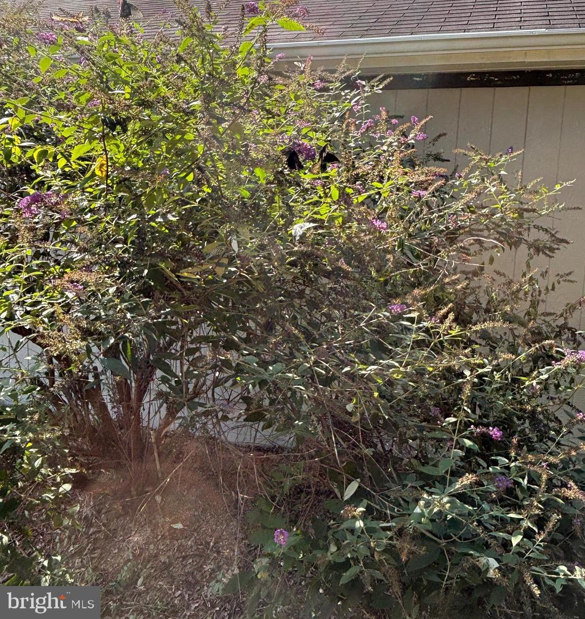 5084 Fairview Lane Broad Run, VA 20137 - Photo 34 of 44