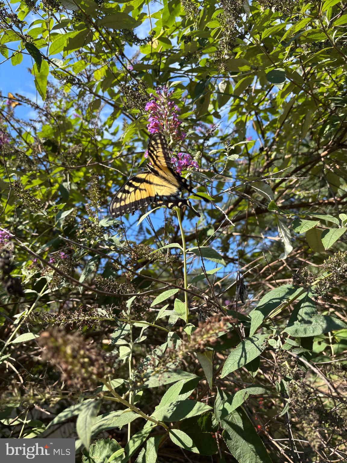 5084 Fairview Lane Broad Run, VA 20137 - Photo 35 of 44