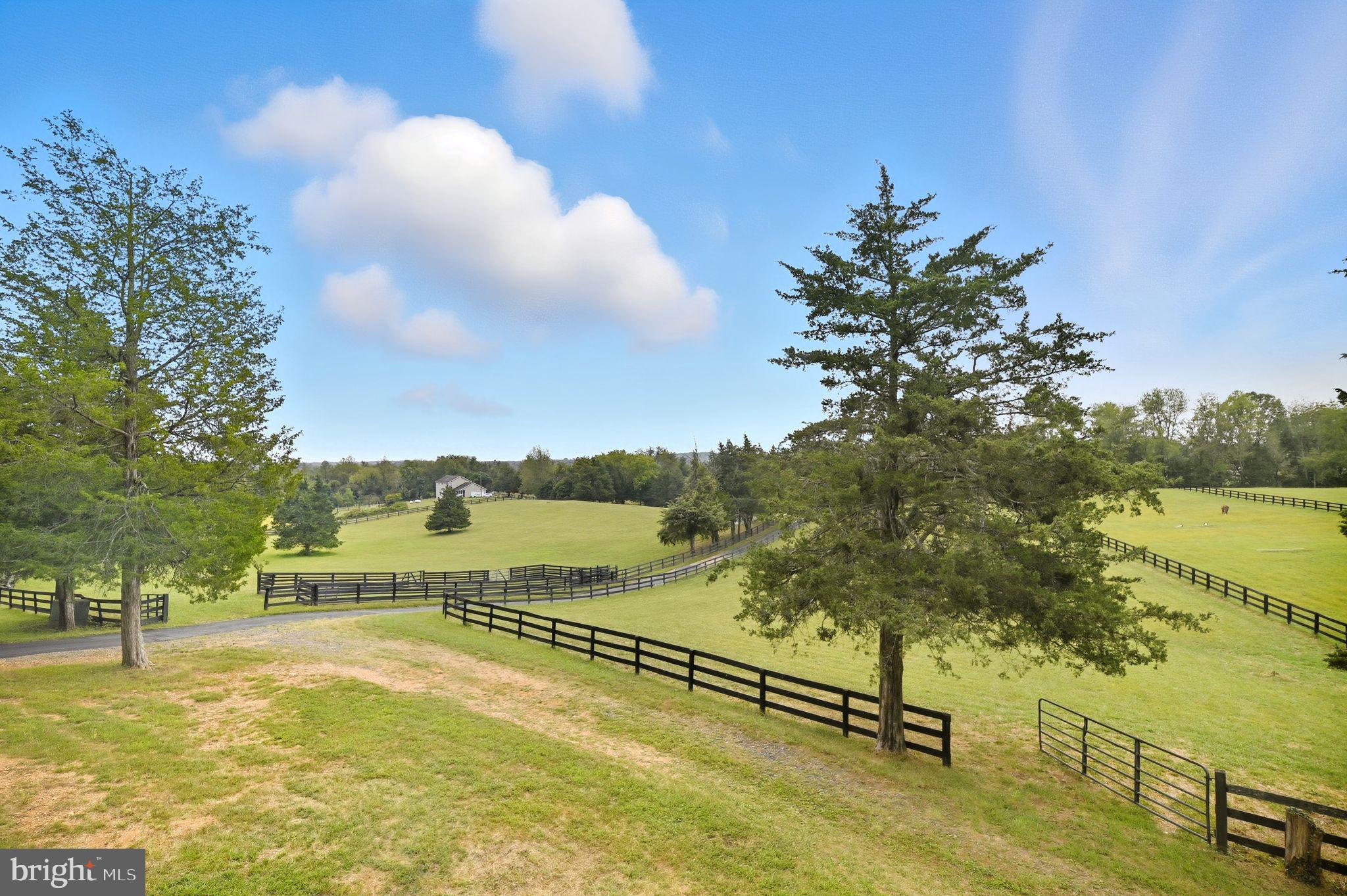 5084 Fairview Lane Broad Run, VA 20137 - Photo 37 of 44 Paddock in front of barn