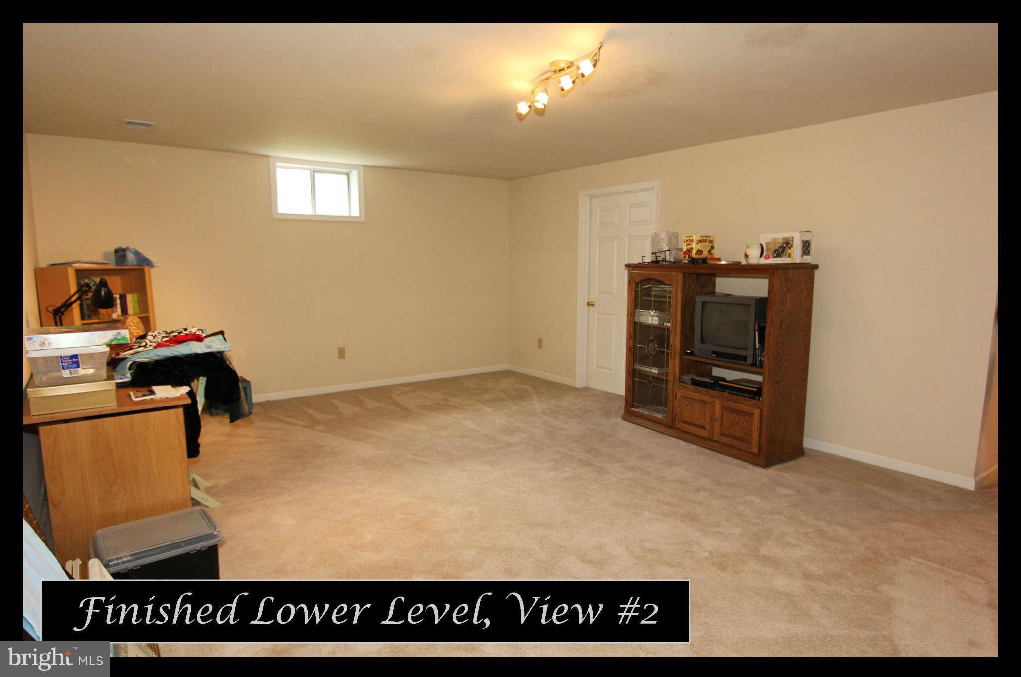 1922 Timber Grove Road Frederick, MD 21702 - Photo 22 of 30 Basement