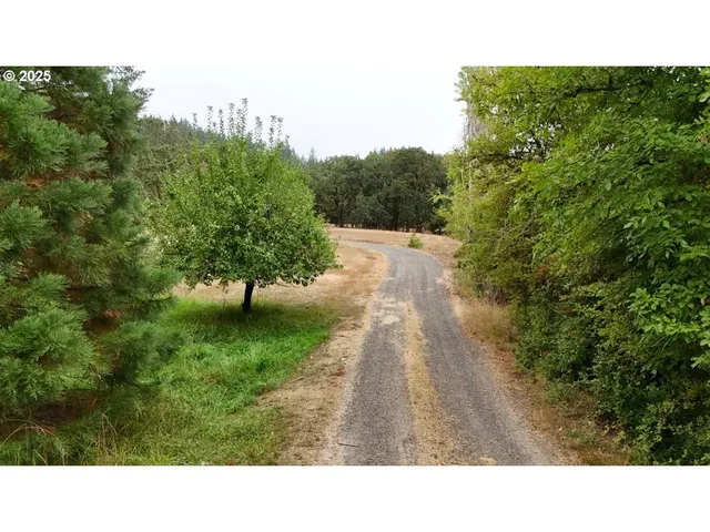 a black and white photo of a park