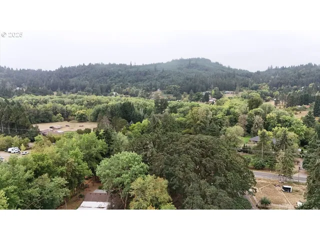 a view of a mountain in the distance in a field