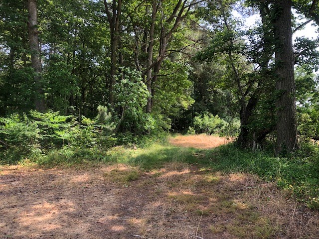 0 Michaels Hill Road Melfa, VA 23410 - Photo 5 of 7