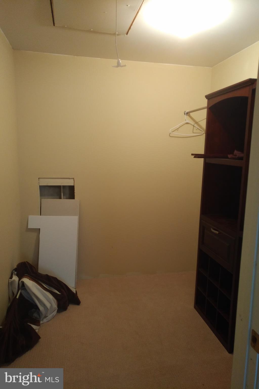 18921 Atlanta Road Bridgeville, DE 19933 - Photo 13 of 22 Walk in closet