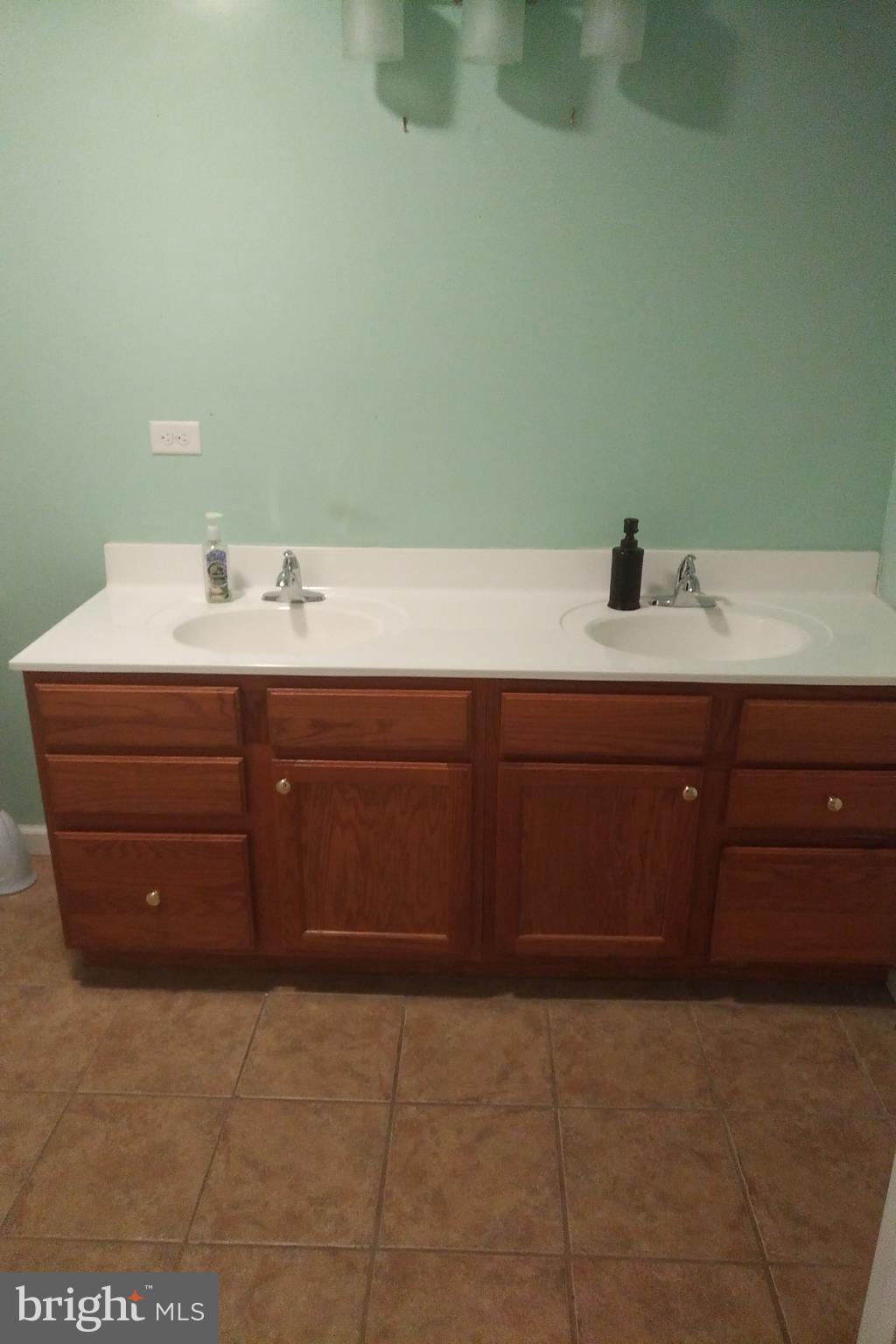 18921 Atlanta Road Bridgeville, DE 19933 - Photo 14 of 22 Upstairs bathroom with double vanity