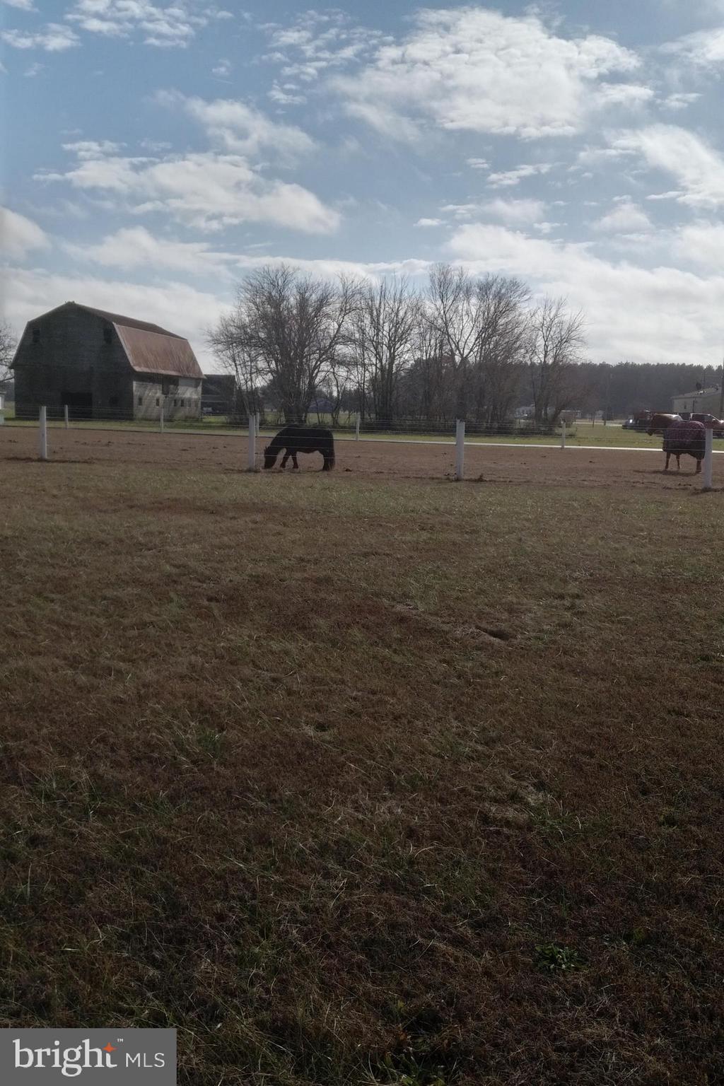 18921 Atlanta Road Bridgeville, DE 19933 - Photo 18 of 22 Horses welcome - these are your neighbors