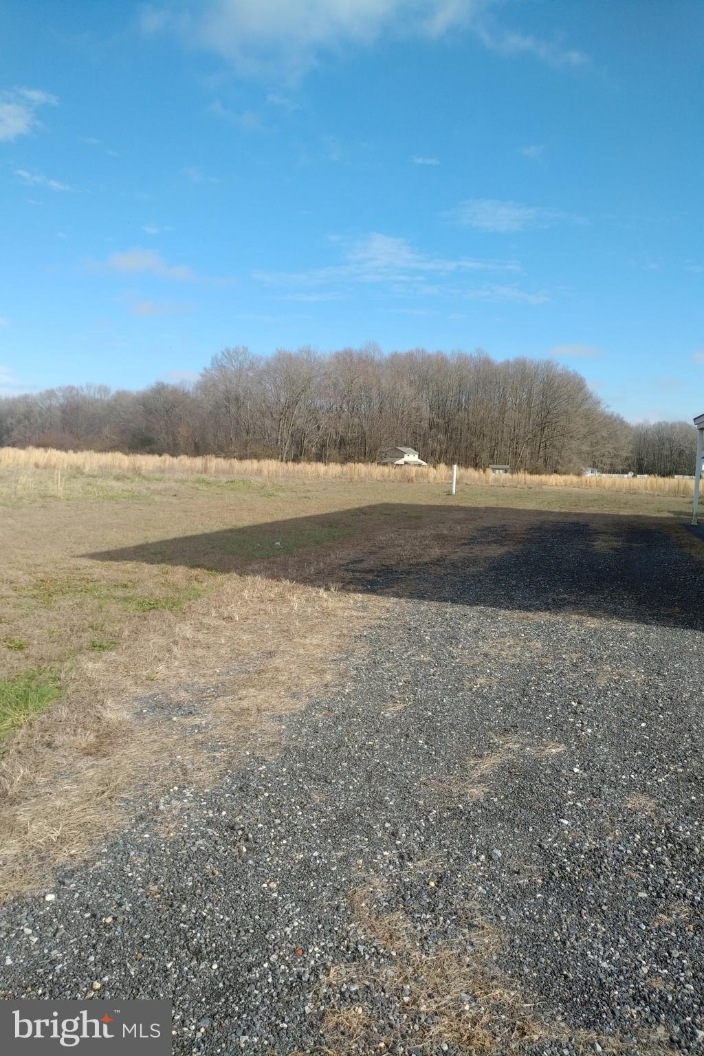 18921 Atlanta Road Bridgeville, DE 19933 - Photo 19 of 22 View towards rear of lot