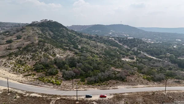 a view of a mountain with a tree