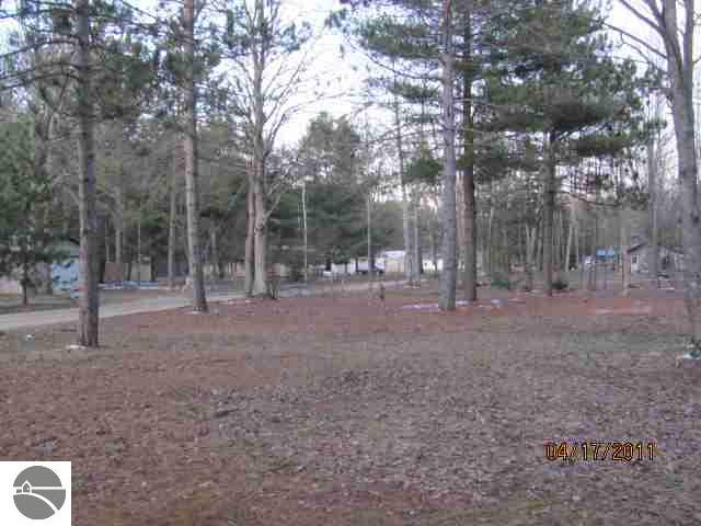 10497 West 20 Road Mesick, MI 49668 - Photo 4 of 12 1726617-3.JPG