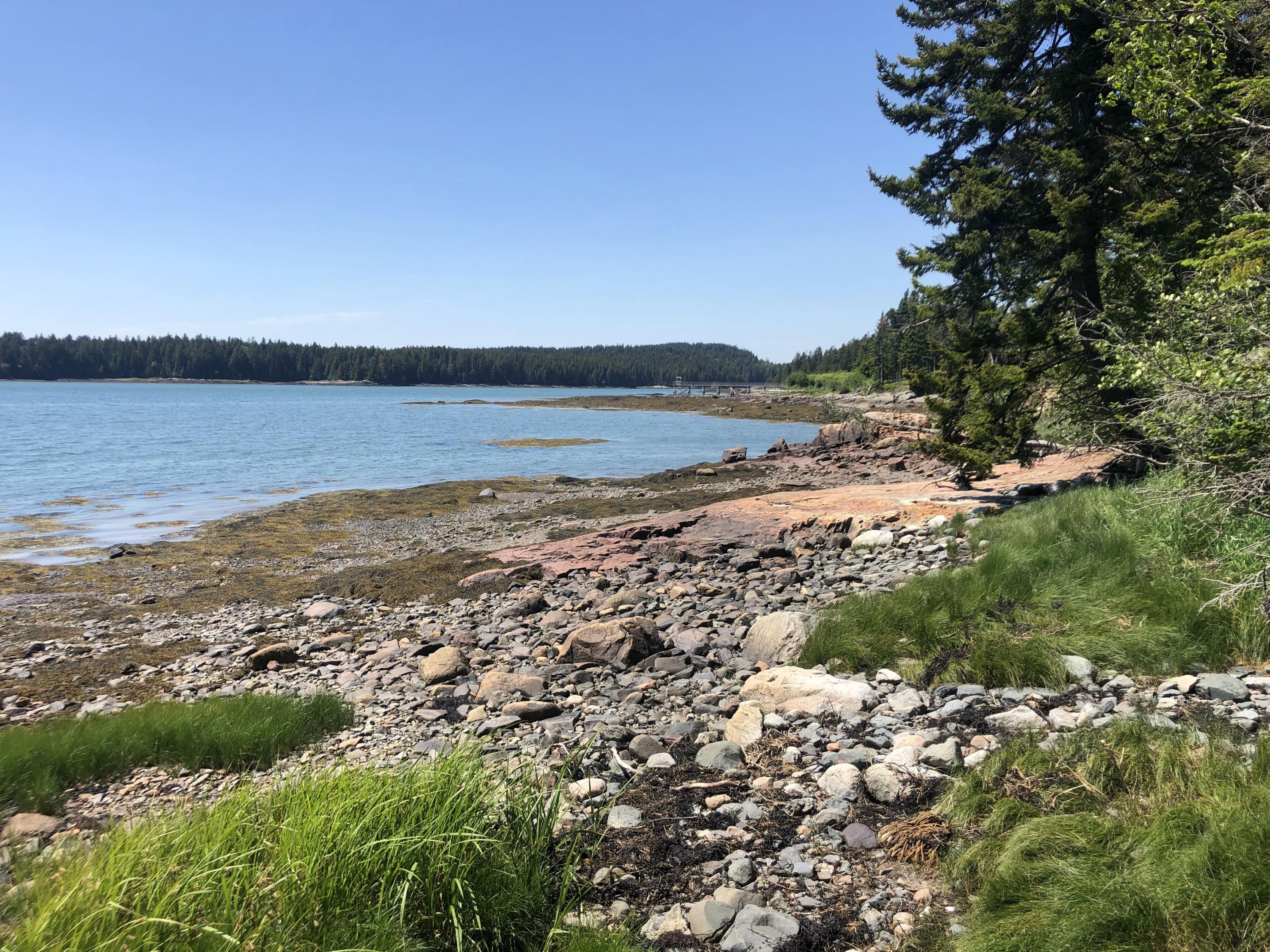 5 Collins Cove Road Machiasport, ME 04655 - Photo 1 of 11 Lot #5 Shoreline