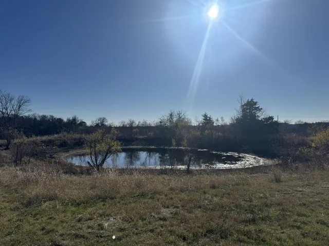 a view of a lake in middle of forest