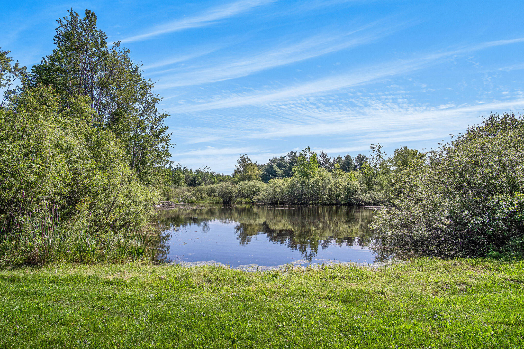1240 North Tuttle Road Custer, MI 49405 - Photo 5 of 5 DSC00108