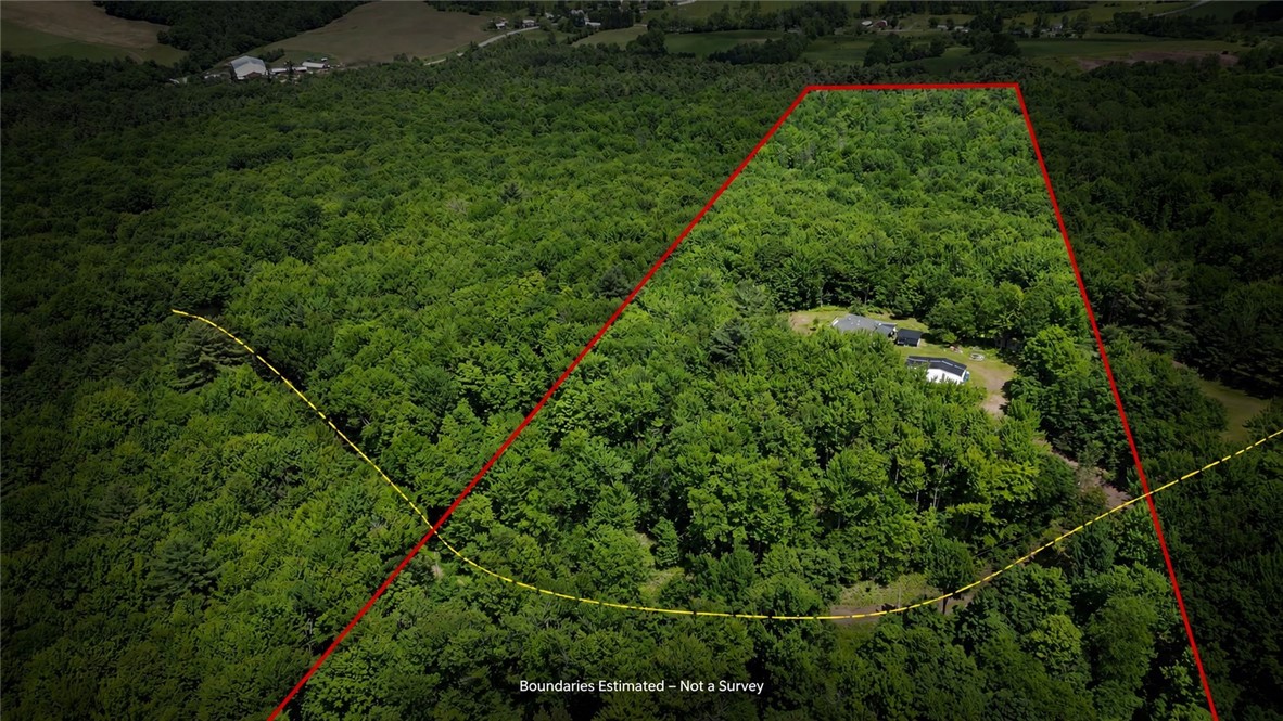 201 Sunrise Mountain Road Kortright, NY 13739 - Photo 9 of 49