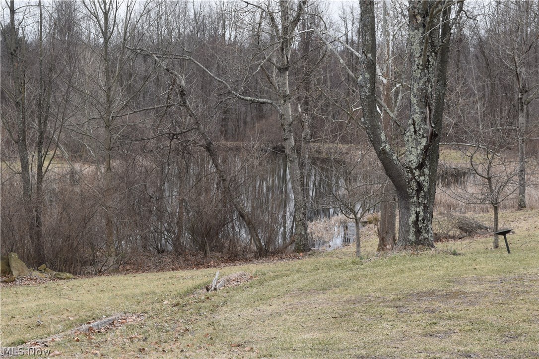 32555 Swallie Road Barnesville, OH 43713 - Photo 12 of 17 Gallery Image 12
