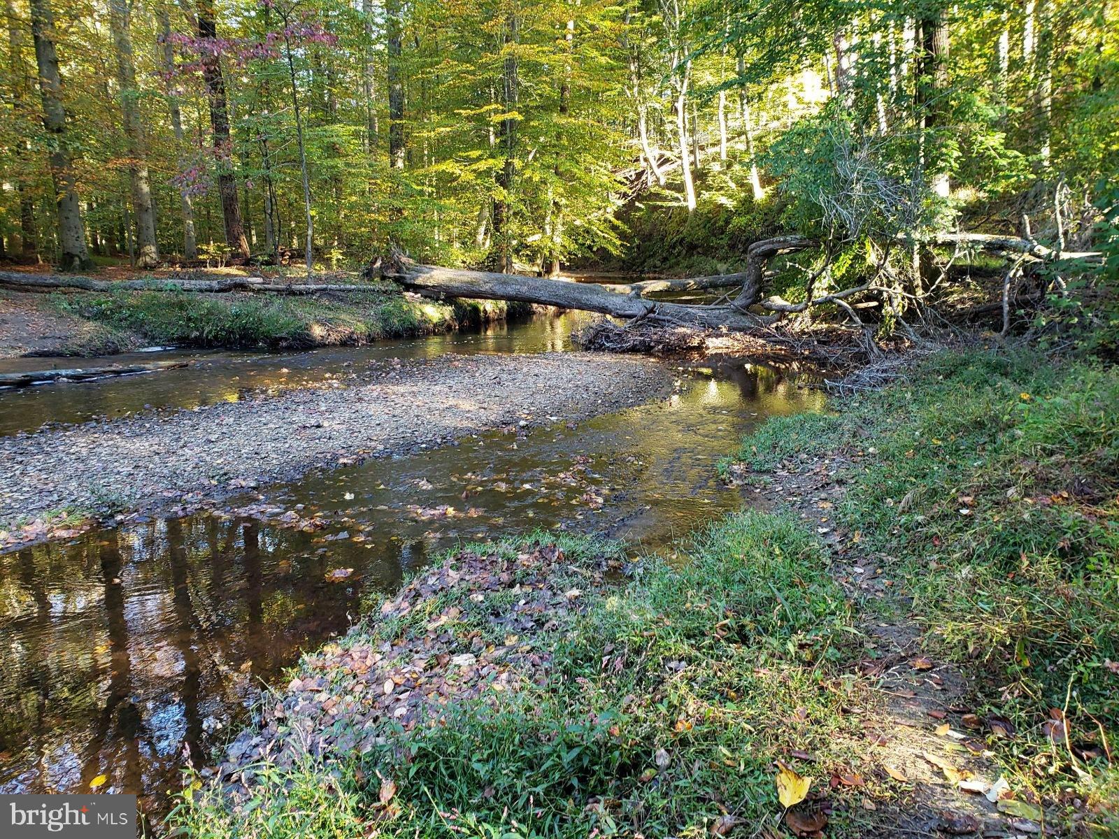 6902 Gillings Road Springfield, VA 22152 - Photo 38 of 41 Nature walking path nearby