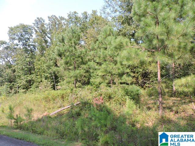 Brookwater Pointe, Unit 31 Wedowee, AL 36278 - Photo 1 of 6