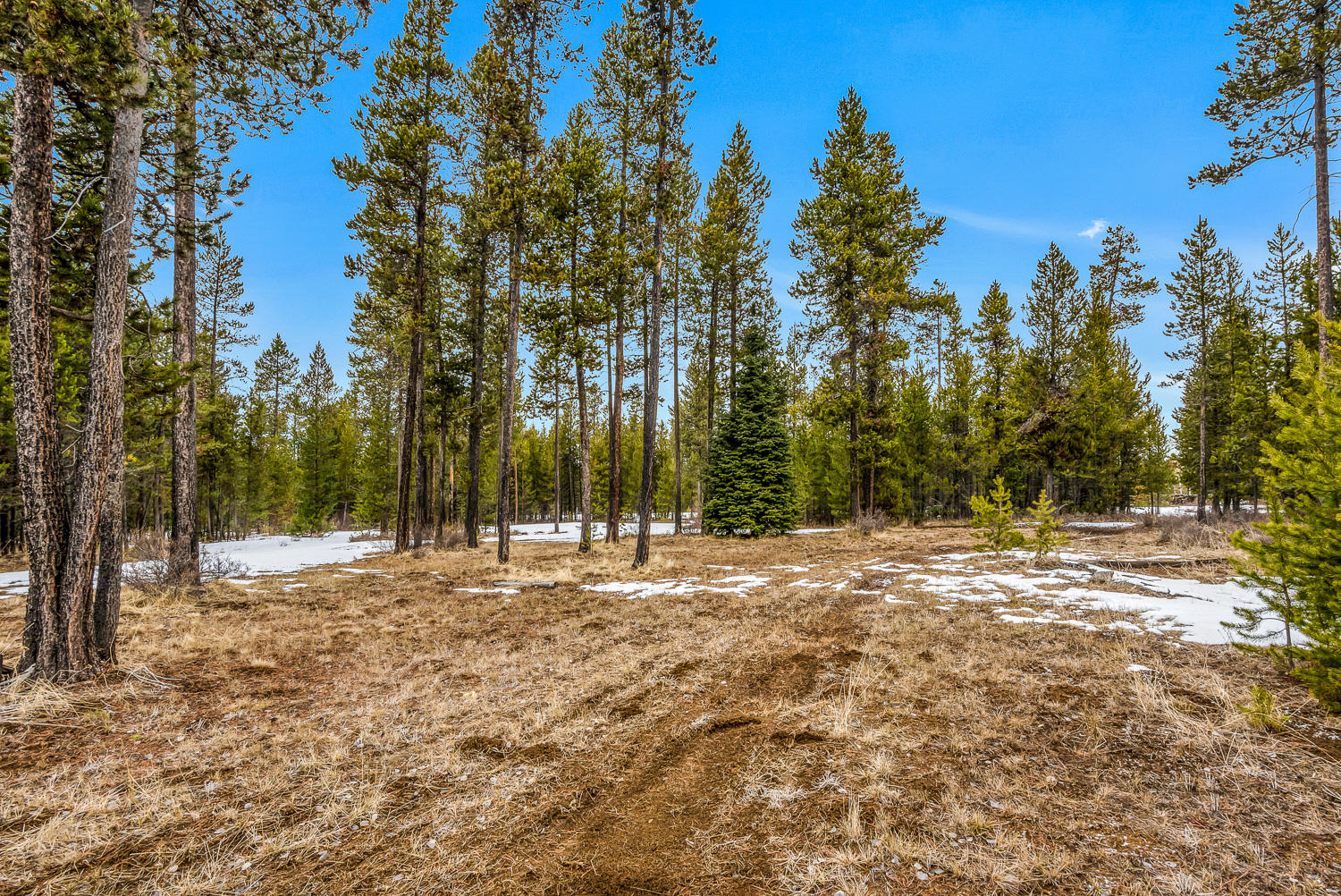 17084 Elsinore Road Bend, OR 97707 - Photo 35 of 41 OReilly_20210311_35_54508_72ppi