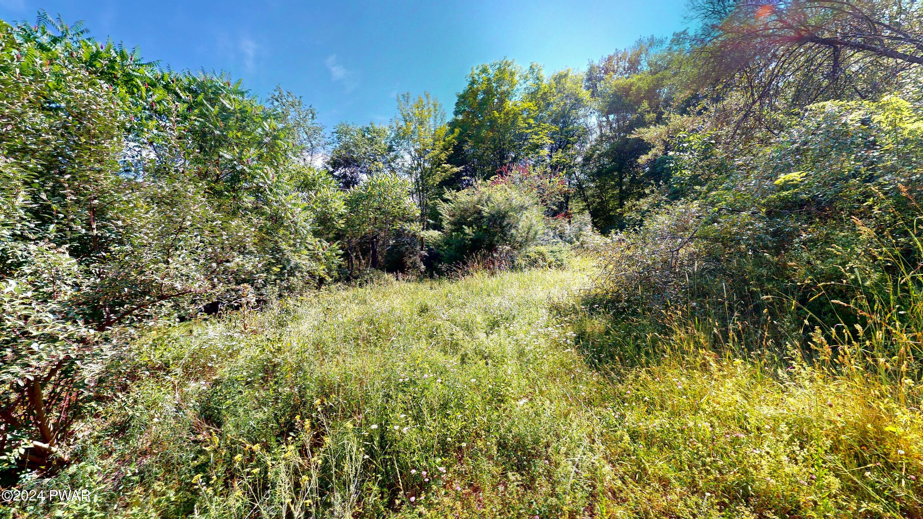 137 Heaters Hill Road Matamoras, PA 18336 - Photo 2 of 12