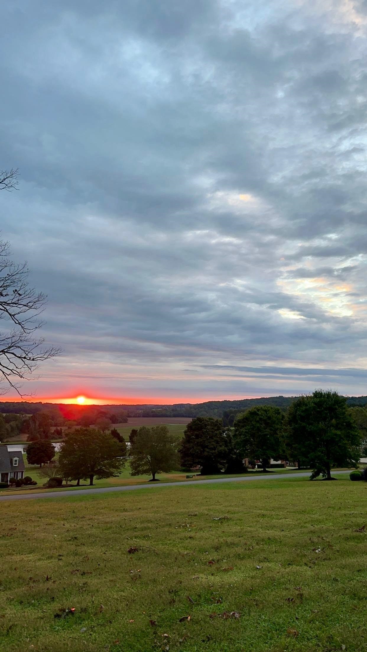 185 Earles Fort Road Landrum, SC 29356 - Photo 48 of 50