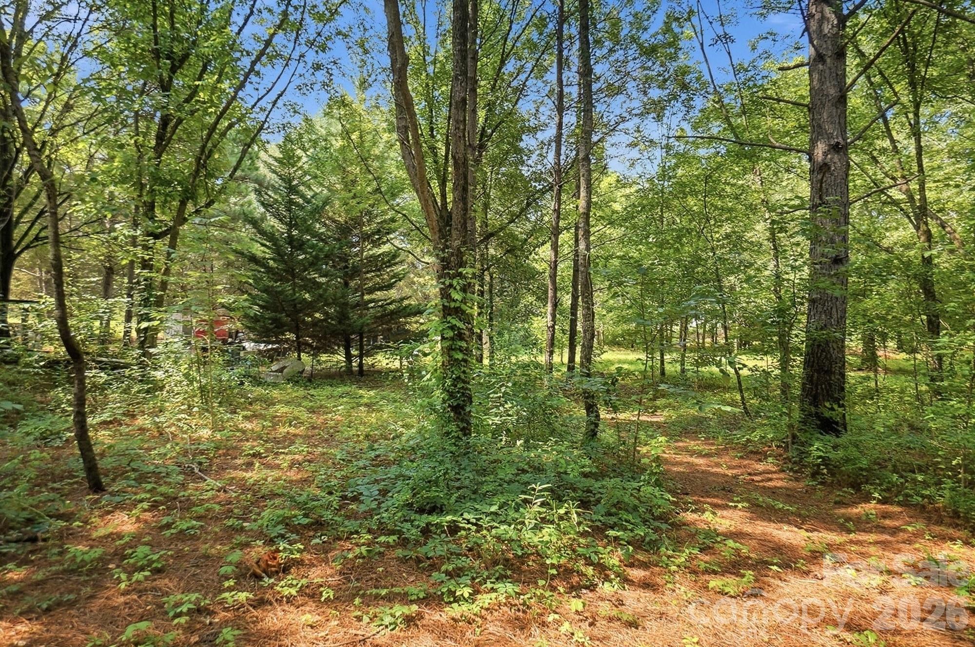 650 State Rd S-46-167 York, SC 29745 - Photo 41 of 44