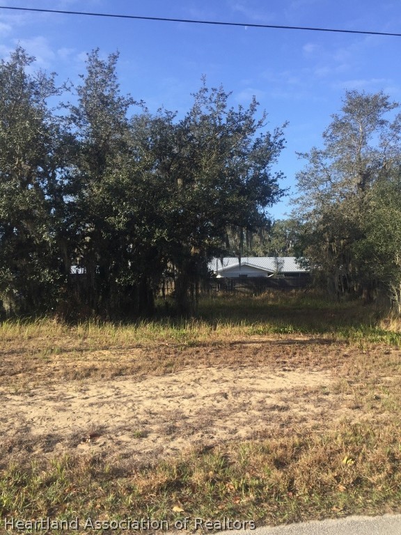 3083 West Remsen Road Avon Park, FL 33825 - Photo 2 of 2 Gallery Image 2