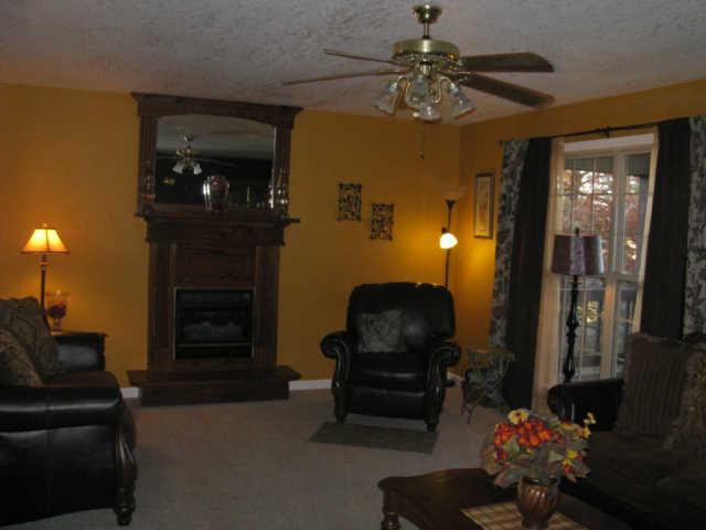 2656 Mcclure Cem Road Huntland, TN 37345 - Photo 3 of 20 Living room features cozy gas log fireplace that sets the tone for this charming home.