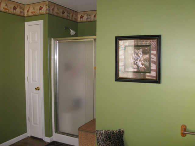 2656 Mcclure Cem Road Huntland, TN 37345 - Photo 10 of 20 Master bath also has separate shower and linen closet.