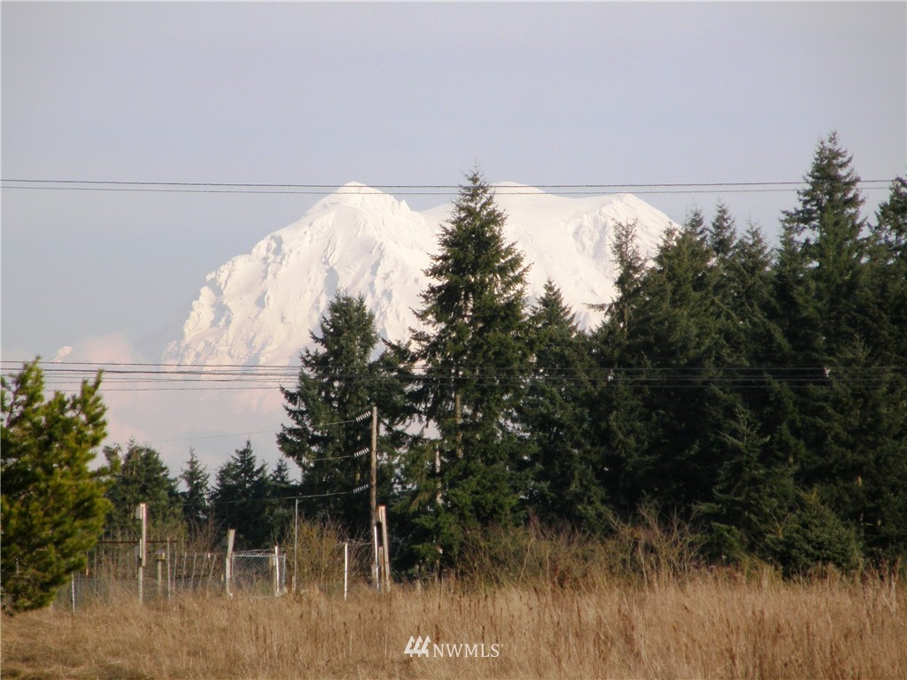 10120 Grove Road Southeast Yelm, WA 98597 - Photo 3 of 18 Gallery Image 3