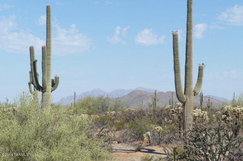 Xx South Cattle Tank Road, Unit 11 48) Marana, AZ 85658 - Photo 18 of 19
