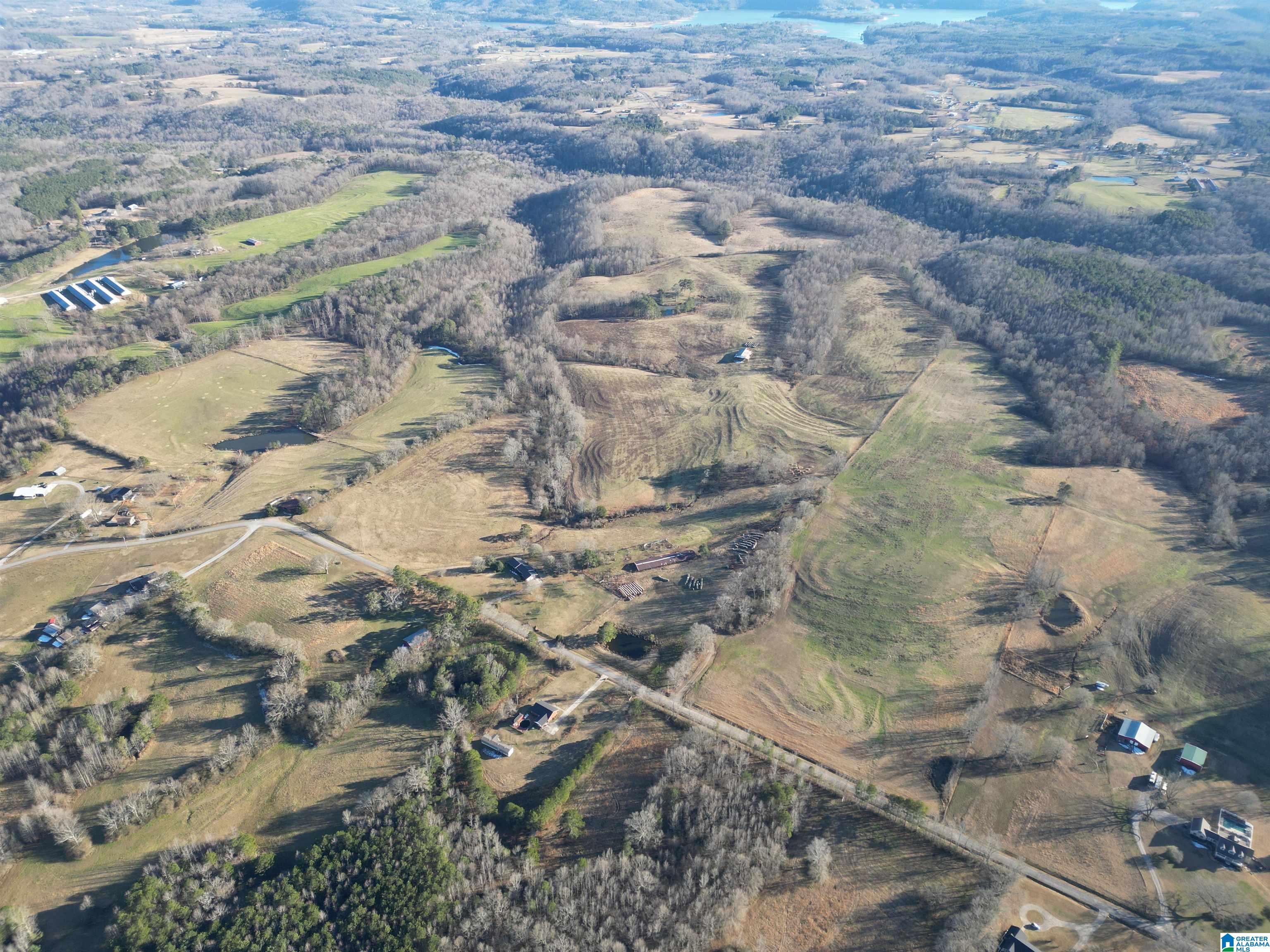 682 County Road 832 Logan, AL 35098 - Photo 18 of 48