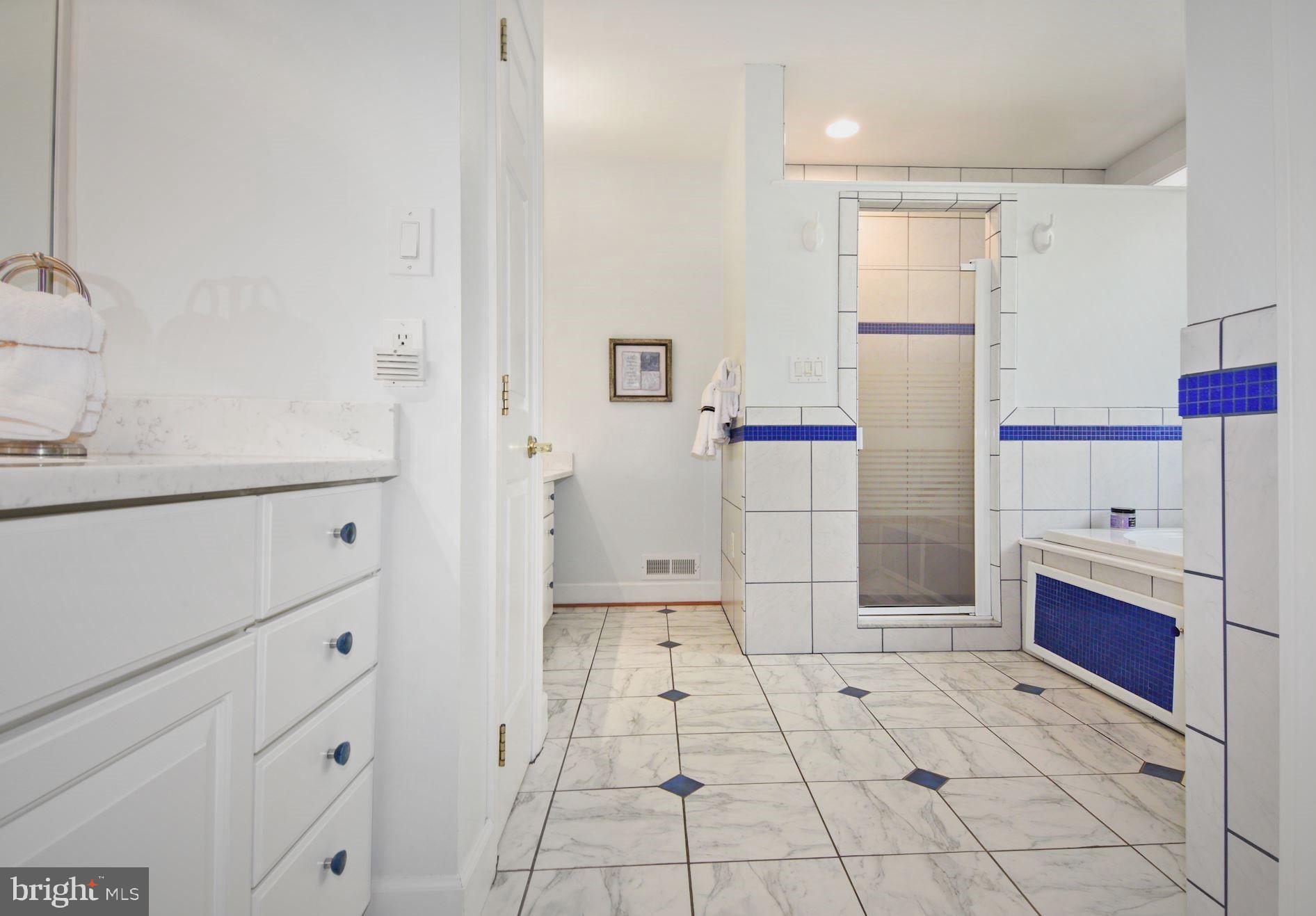 825 Mt Airy Road Davidsonville, MD 21035 - Photo 25 of 42 Master bath w/jetted soaking tub & heated floors