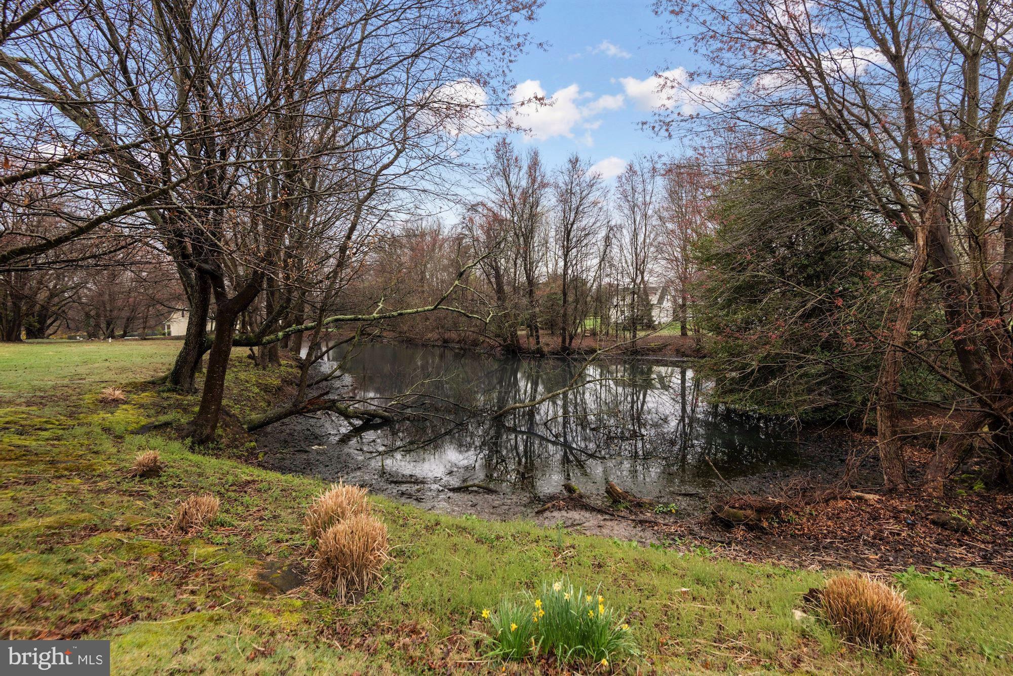 825 Mt Airy Road Davidsonville, MD 21035 - Photo 36 of 42 One-acre community pond adjacent to property
