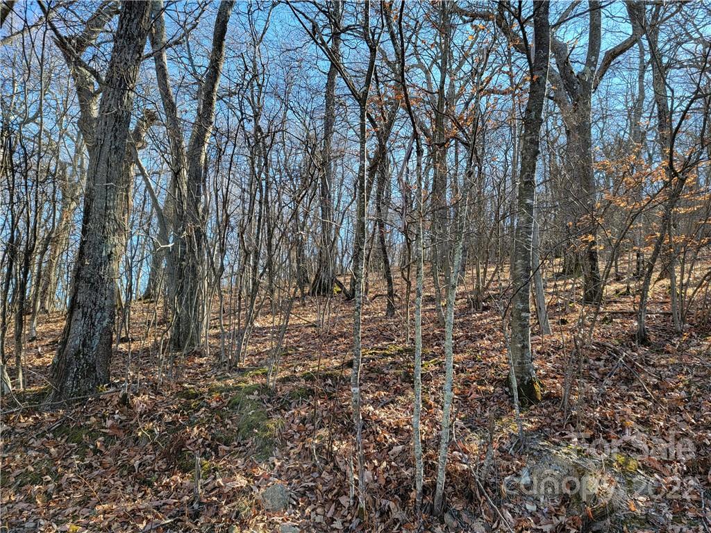B5 Running Deer Trail Boone, NC 28607 - Photo 4 of 8 Gallery Image 4
