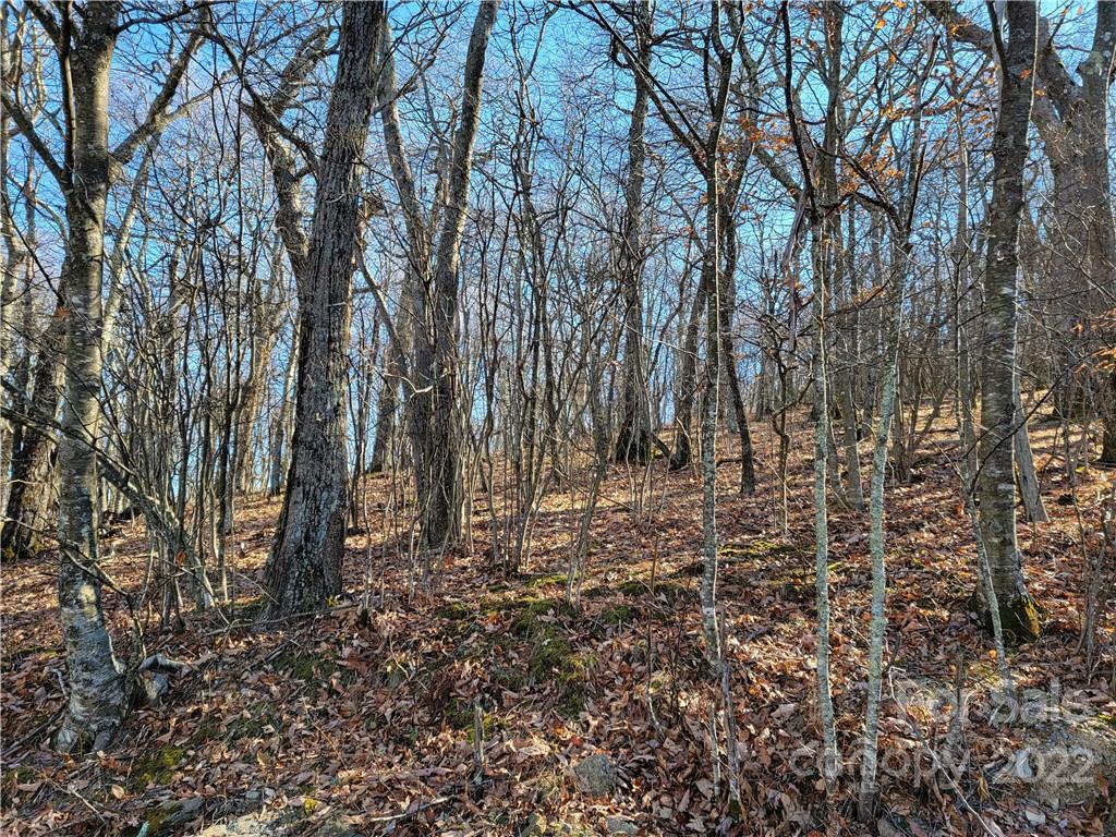 B5 Running Deer Trail Boone, NC 28607 - Photo 6 of 8 Gallery Image 6