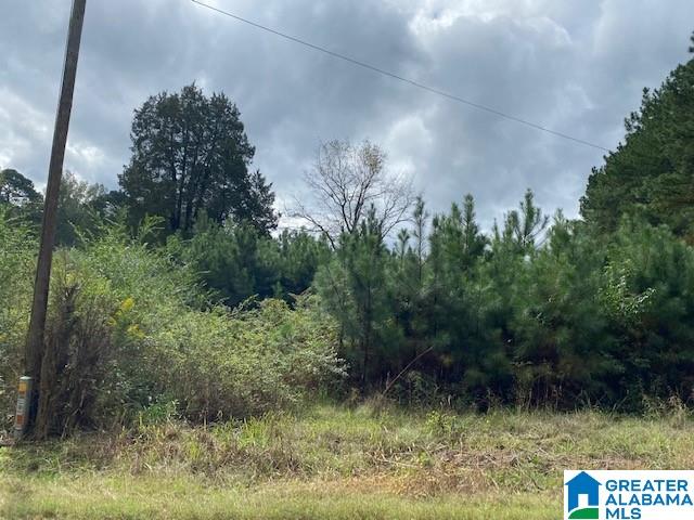 2941 County Line Drive, Unit COUNTY Trafford, AL 35172 - Photo 2 of 3