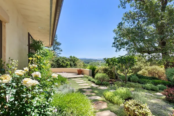a view of outdoor space with trees all around
