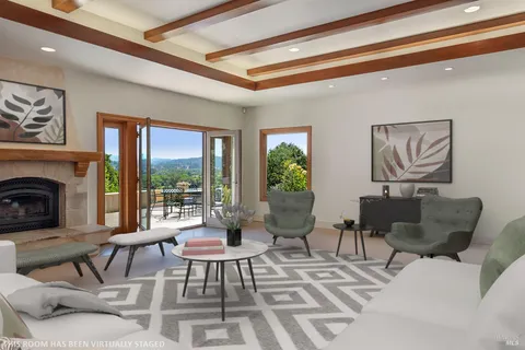 a living room with furniture a fireplace and a potted plant