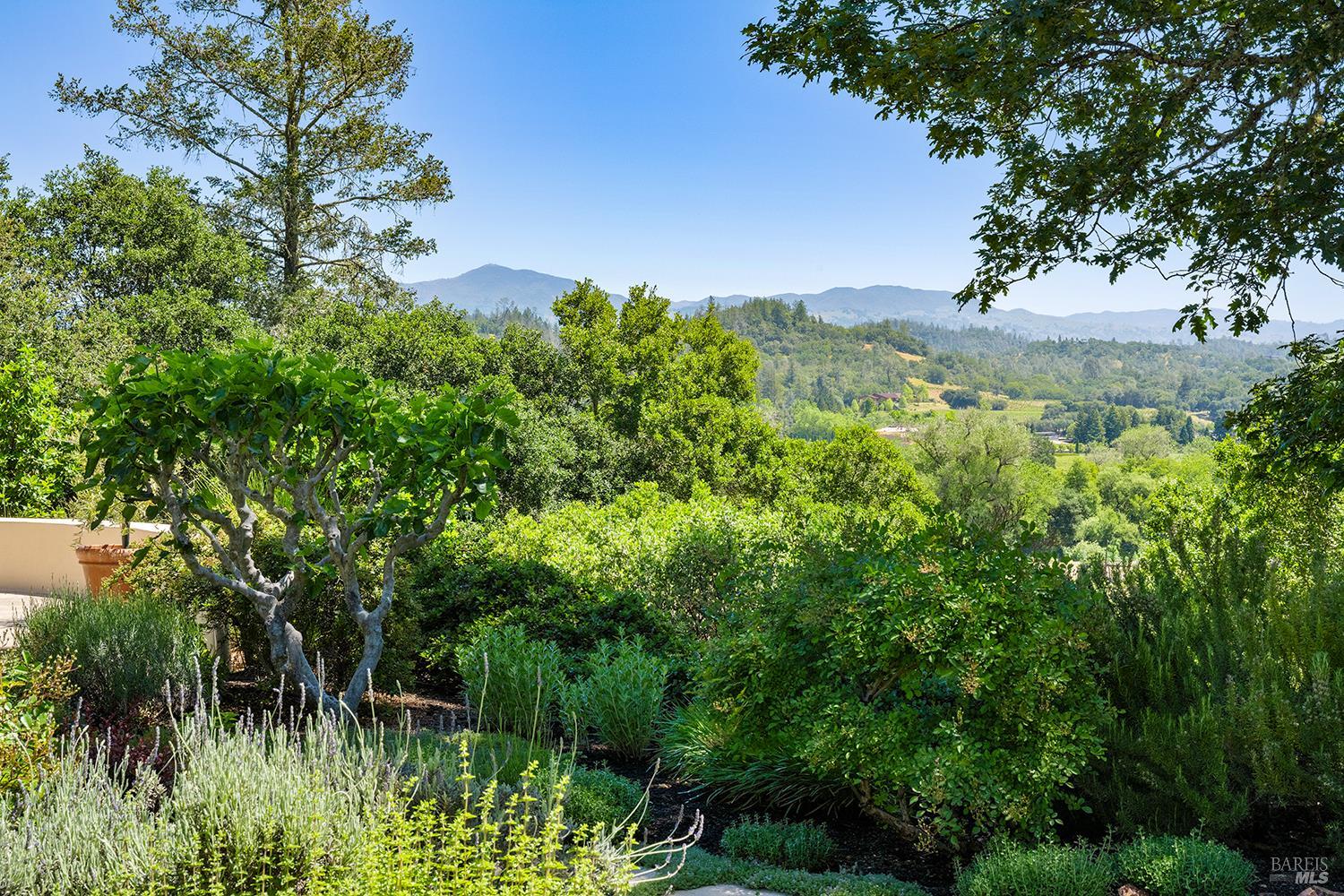 9981 West Dry Creek Road Healdsburg, CA 95448 - Photo 41 of 68