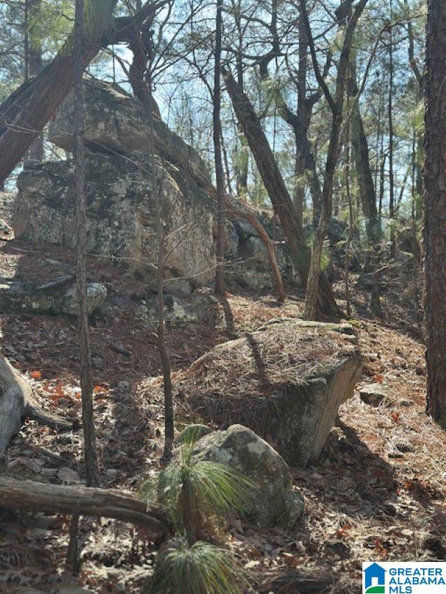 1 Mountain Top Road, Unit 1 Trussville, AL 35173 - Photo 3 of 17